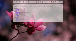 Desktop Screenshot of liquigel.net